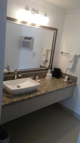 1 King Bed PET ROOM (Non-smoking) Photo 3