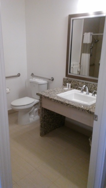 1 King Handicap PET ROOM (Non-smoking) Photo 1